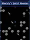 Nihariely's Spatial Adventure
