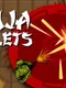 Ninja Bullets