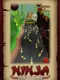 Ninja Feet of Fury