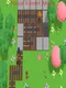 Ninja Forest Maze