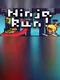 Ninja Run!