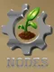 Nodes
