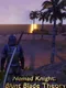 Nomad Knight: Blunt Blade Theory