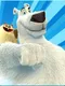 Norm of the North: Arctic Dash