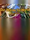 Our Wonderful World