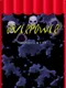 Overpower RPG - Capítulo 1: A Saga de Bulgar