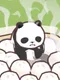 Panda Eat Bamboo