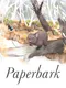 Paperbark