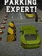 Parking Expert!
