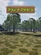 Pau E Pedra