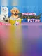 Paws & Claws: Pampered Pets