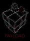 Payload
