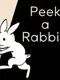 Peek a Rabbit!