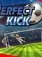 Perfect Kick