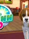 Pet Inn 3D