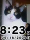Photo Clock