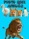 Photo Quiz: Animals
