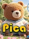 Pica