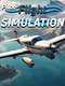 Pilot Flight Simulation