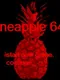 Pineapple 64