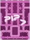 Pip D