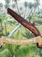 Pirates Journey