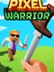 Pixel Warrior