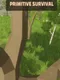 Primitive Survival