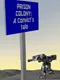 Prison Colony: A Convict's Tale