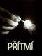 Přítmí: Twilight