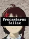 Procambarus Fallax
