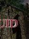 Project Druid