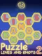 Puzzle: Lines and Knots 2