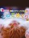 Puzzle Series: Jigsaw Puzzle - Koneko Mekuri-hen