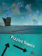 Puzzled Towers