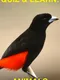 Quiz & Learn: Animals