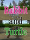 Rabbit and Turtle