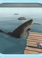 Raft Island Shark Survival