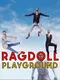 Ragdoll Playground