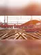 Railway Construction Simulator