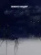 Rainy Night