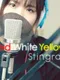 Red White Yellow Stingray