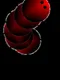 Reverse Snake Extreme