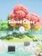 Sacred Cubes