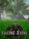 Sailing Stone