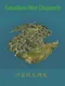 Sandbox War Dispatch
