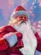 Santa Claus Jigsaw Puzzles