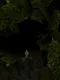 Scarecrow Co-op 2