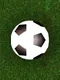 Score a goal 2 (Physical football)
