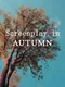 Screenplay in Autumn